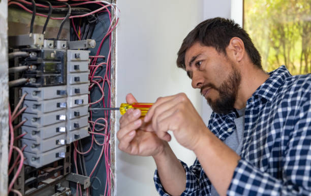 Best Generator Installation Services  in Stacy, MN